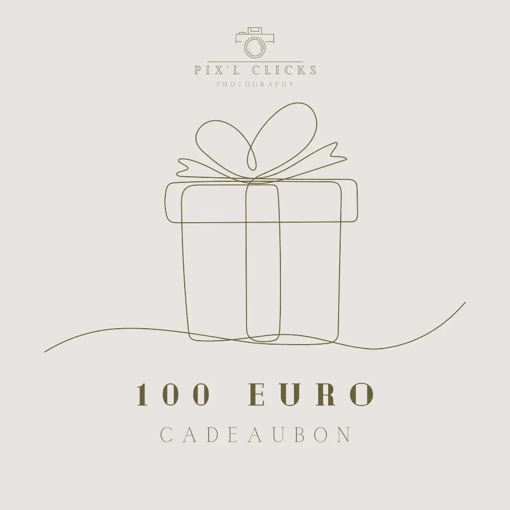 Cadeaubon - 100 euro